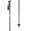 Ski Poles H453197