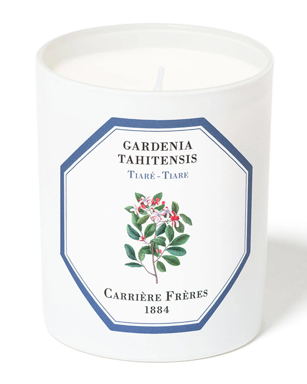 Tiare Candle Y4801