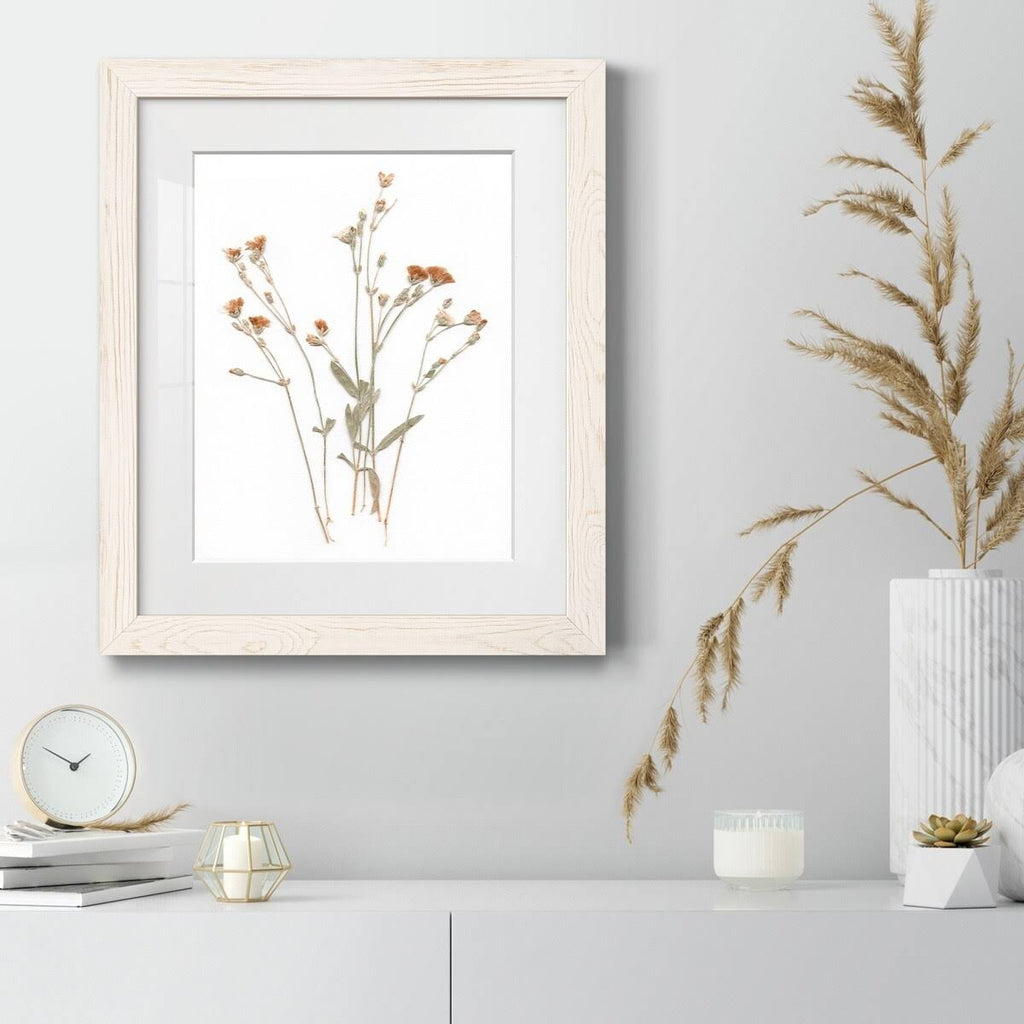 Walnut Framed Print 23X32 J883153