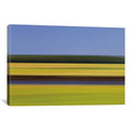 Canvas Print R348