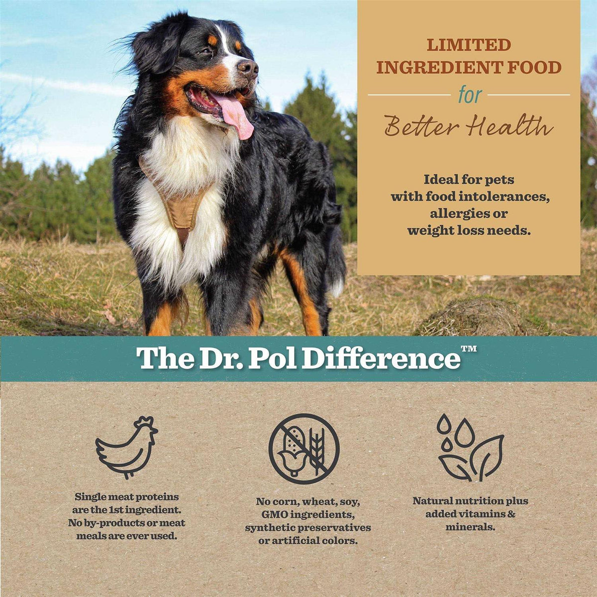 Chicken Recipe Dry Dog Food G732