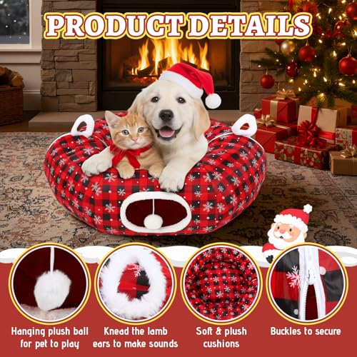 Cat Bed Tunnel with Hanging Ball B8647