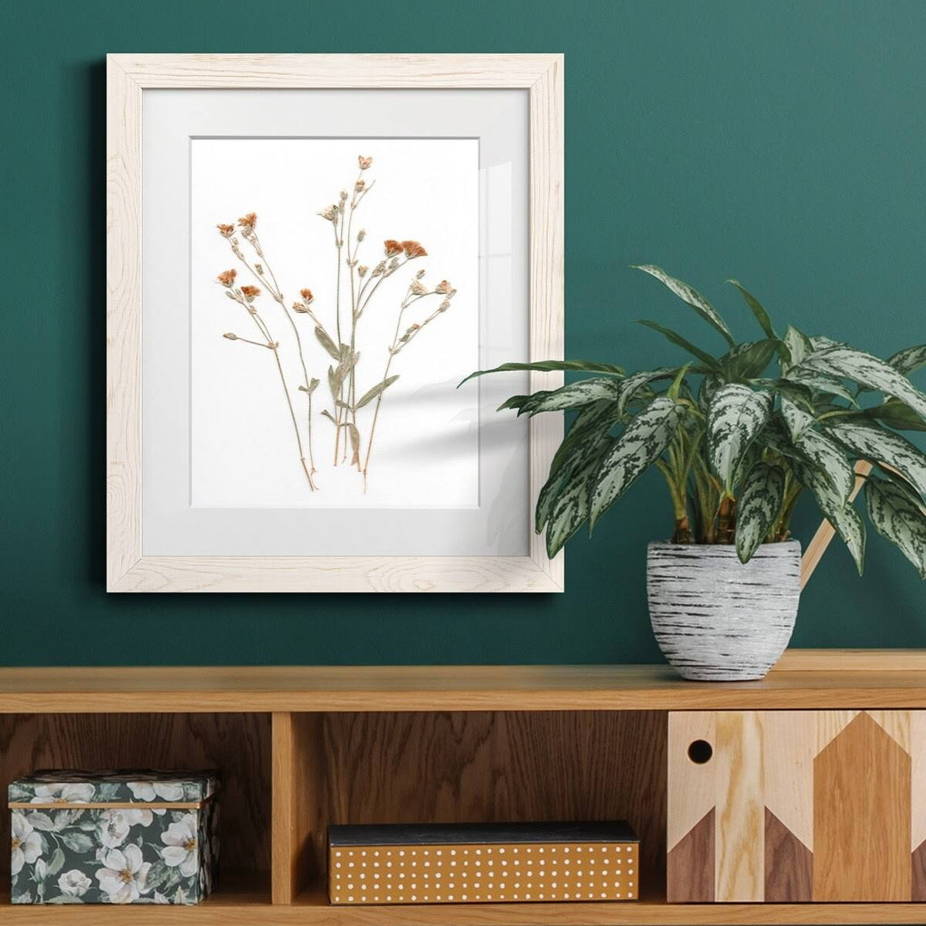 Walnut Framed Print 23X32 J883153