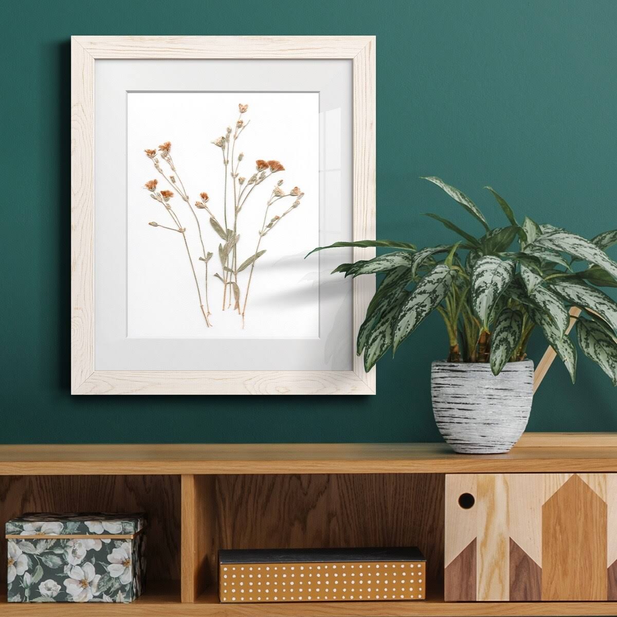 Walnut Framed Print 23X32 J883153