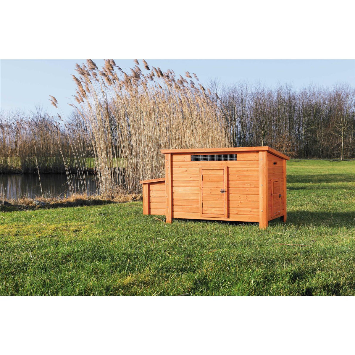 Chicken Coop F728997