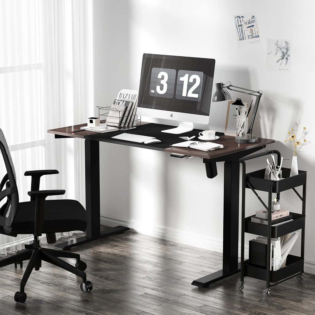 Electric Standing Desk with 48 x 30 Inches Adjustable Sit Stand Desk W370