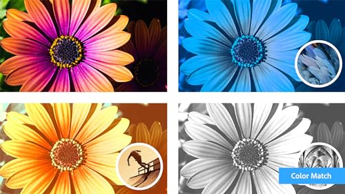 Photoshop Elements 2024 & Premiere Elements 2024 PC Code Software P15511