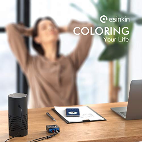 Wireless Audio Receiver for Speakers I4428