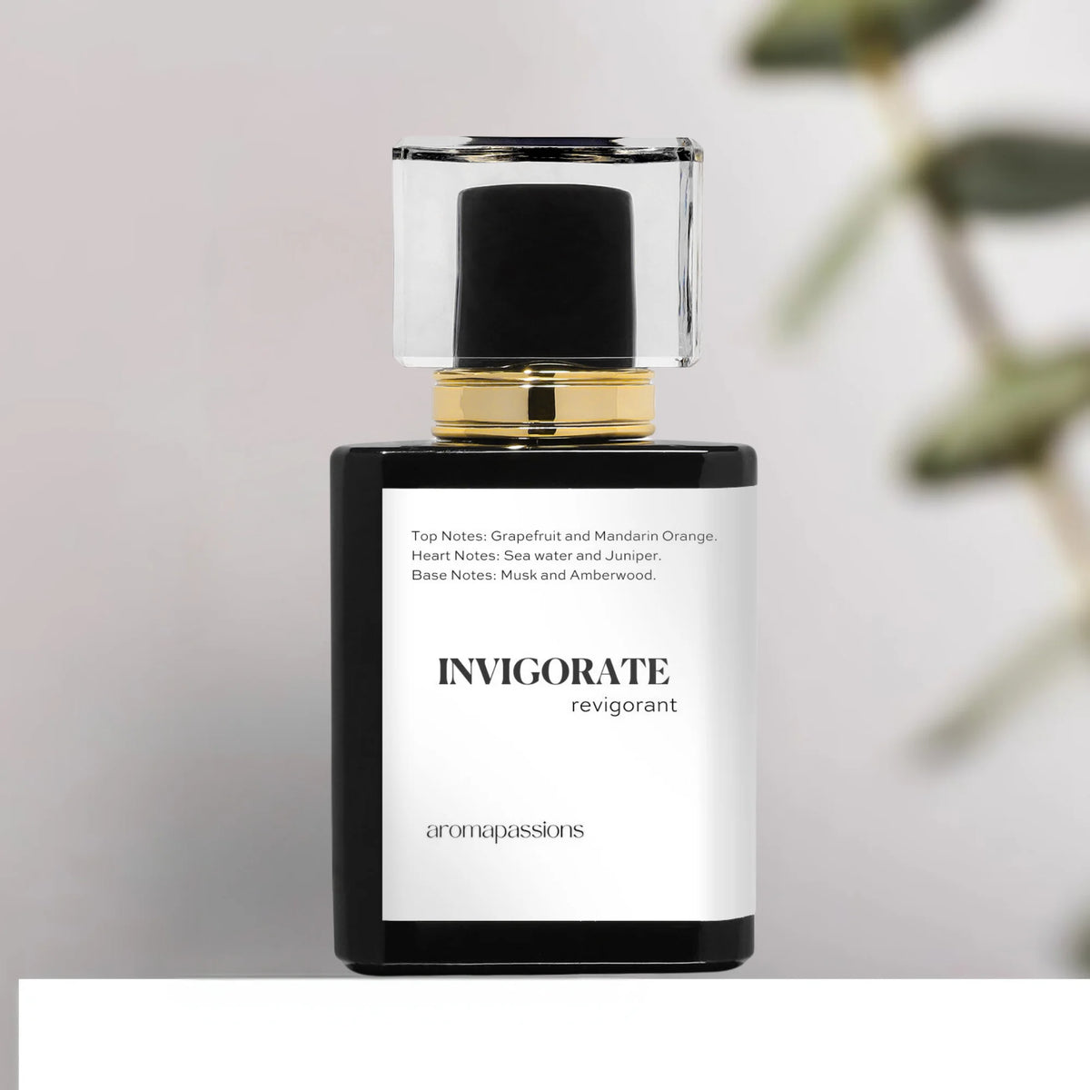 Pheromone Perfume for Men Extrait De Parfum X328