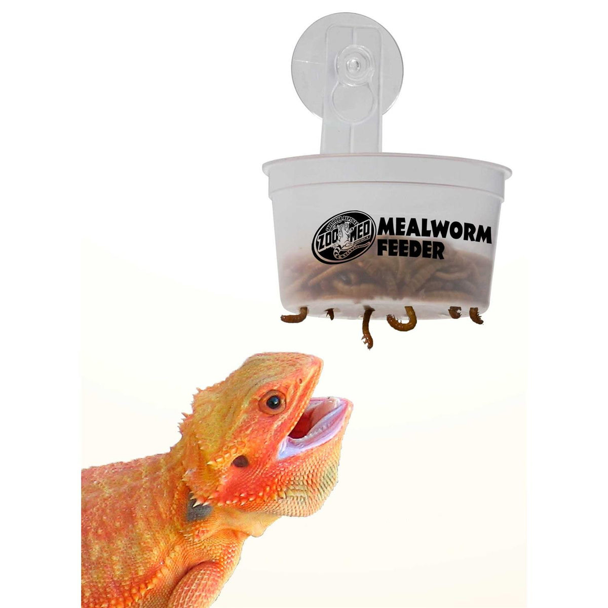 Hanging Mealworm Feeder O449