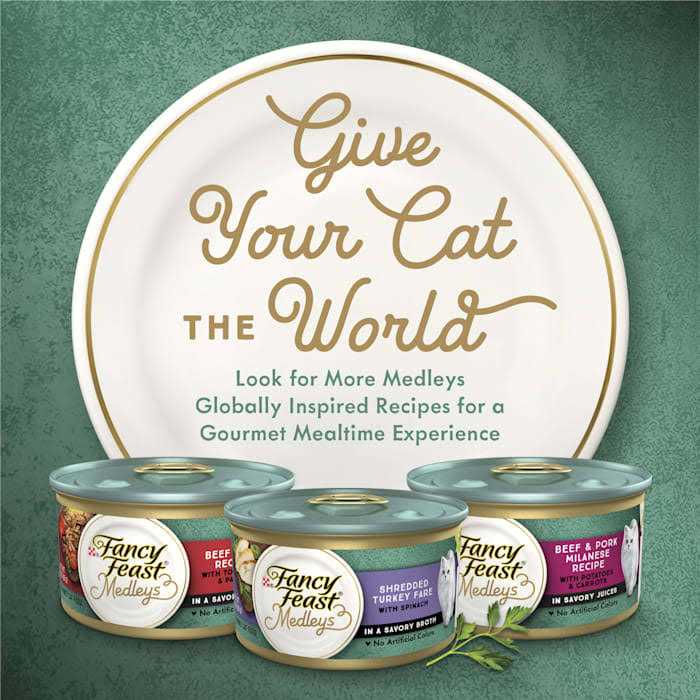 Shredded Cat Food O771354
