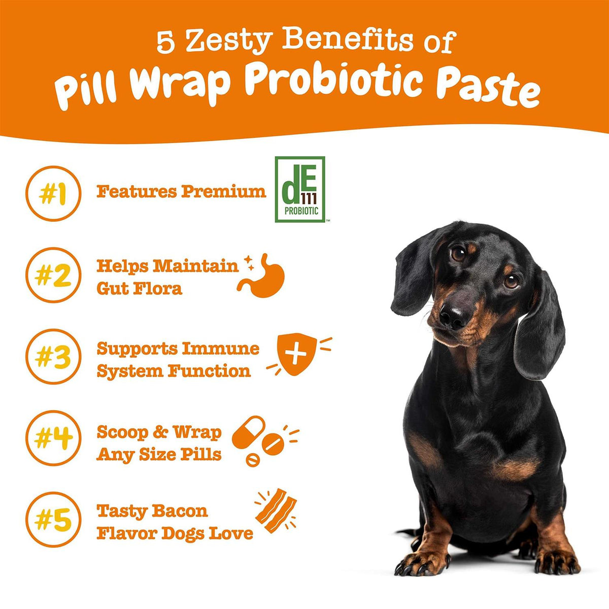 Probiotic Paste for Dogs R7468