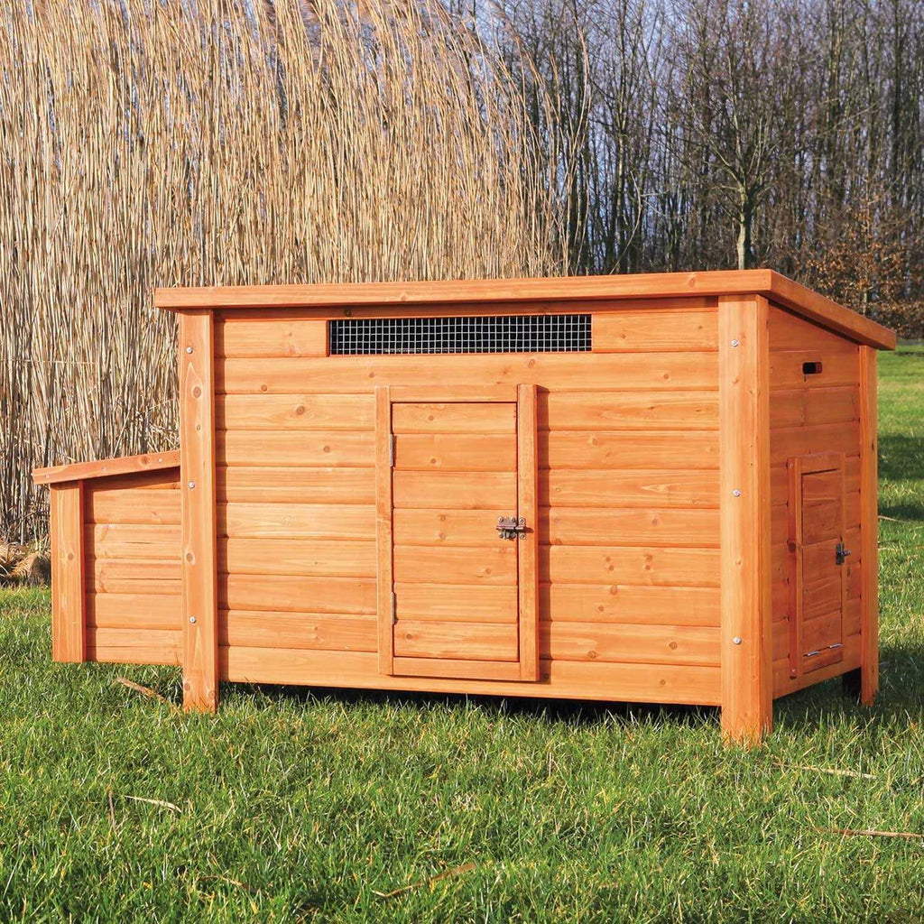 Chicken Coop F728997