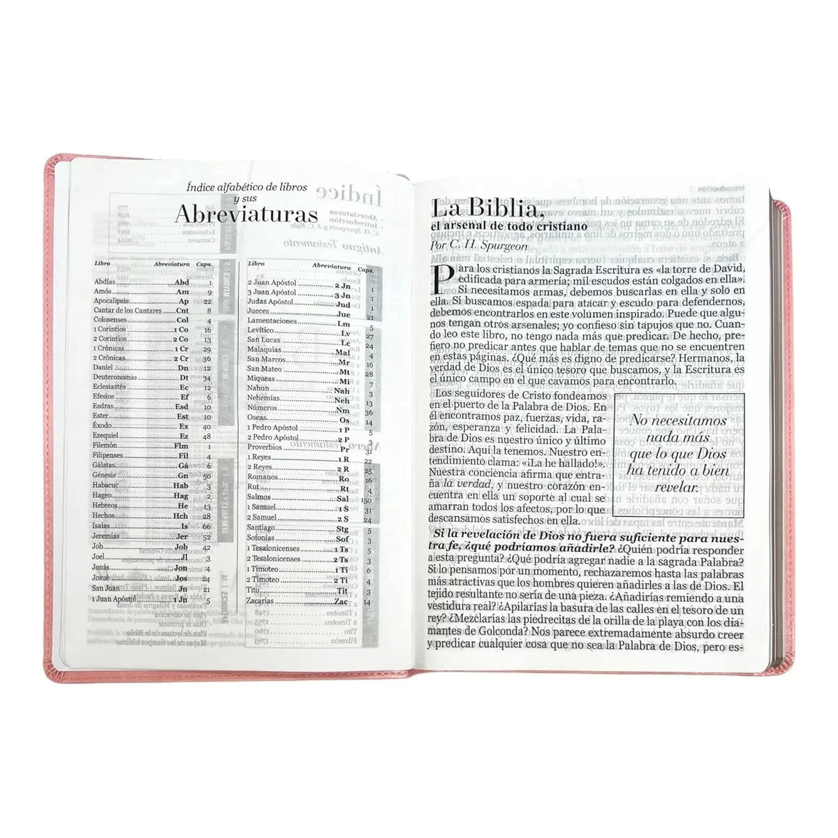 Simile Leather Imitation Leather Bible J187721