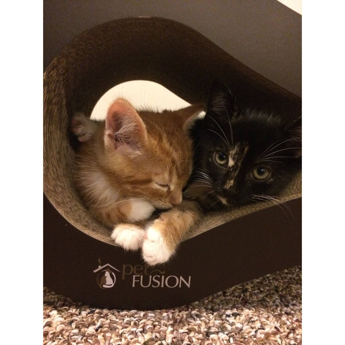 Cat Scratcher Lounge G474