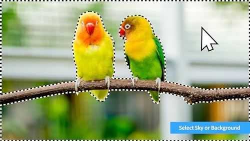 Photoshop Elements 2024 & Premiere Elements 2024 PC Code Software P15511