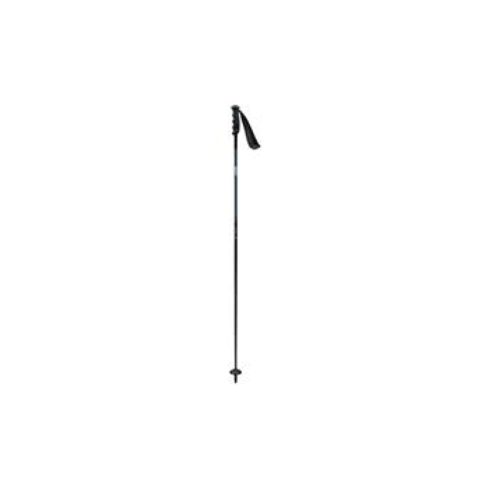 Ski Poles H453197