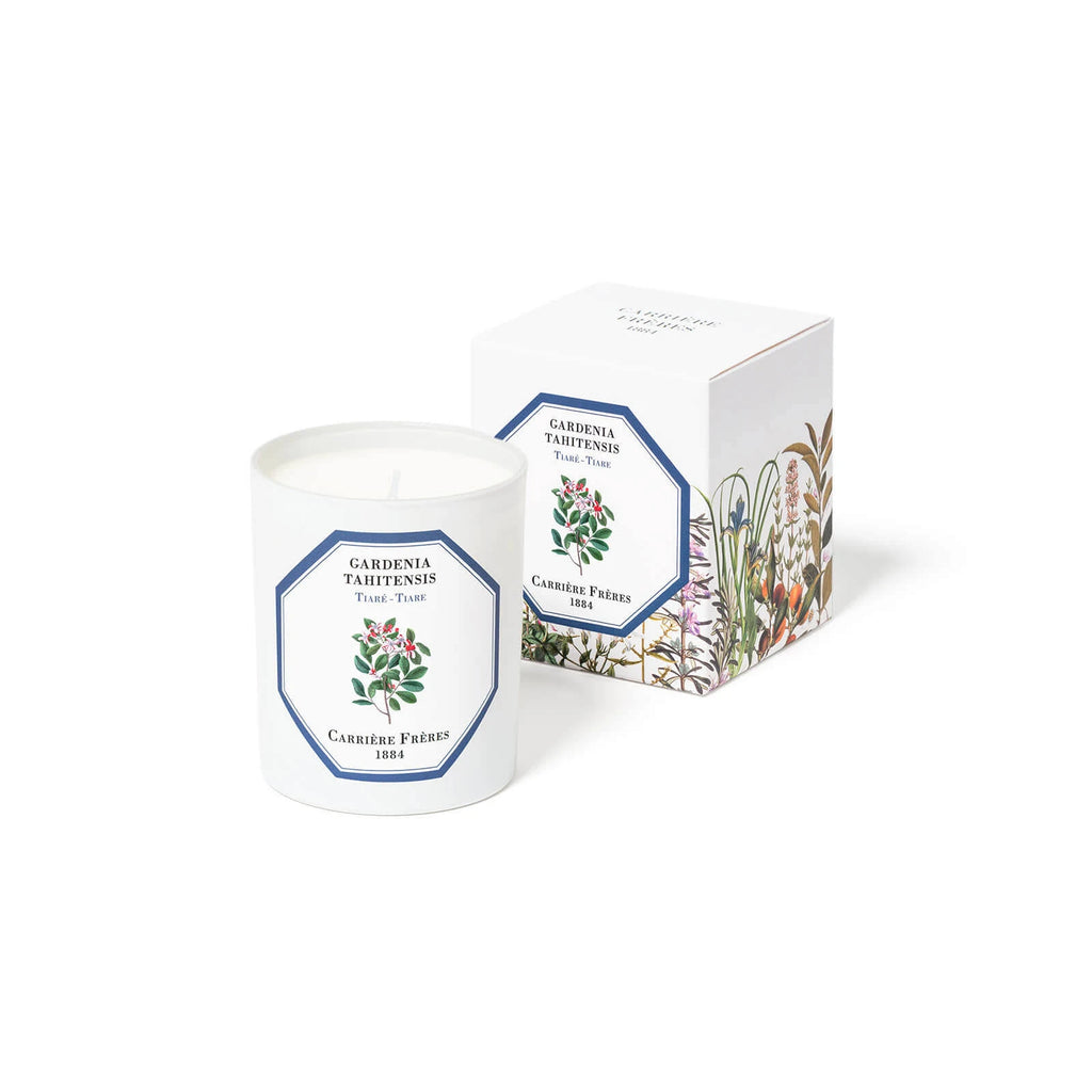 Tiare Candle Y4801