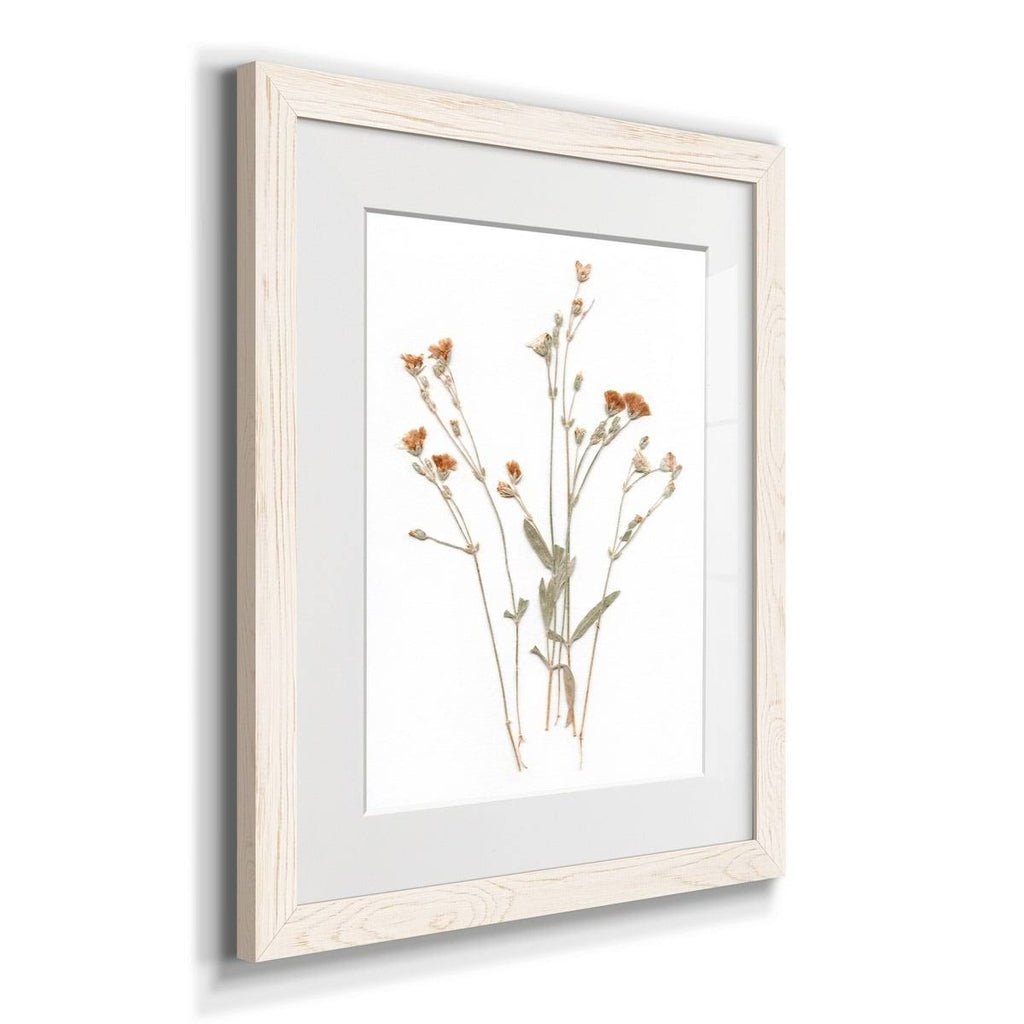 Walnut Framed Print 23X32 J883153