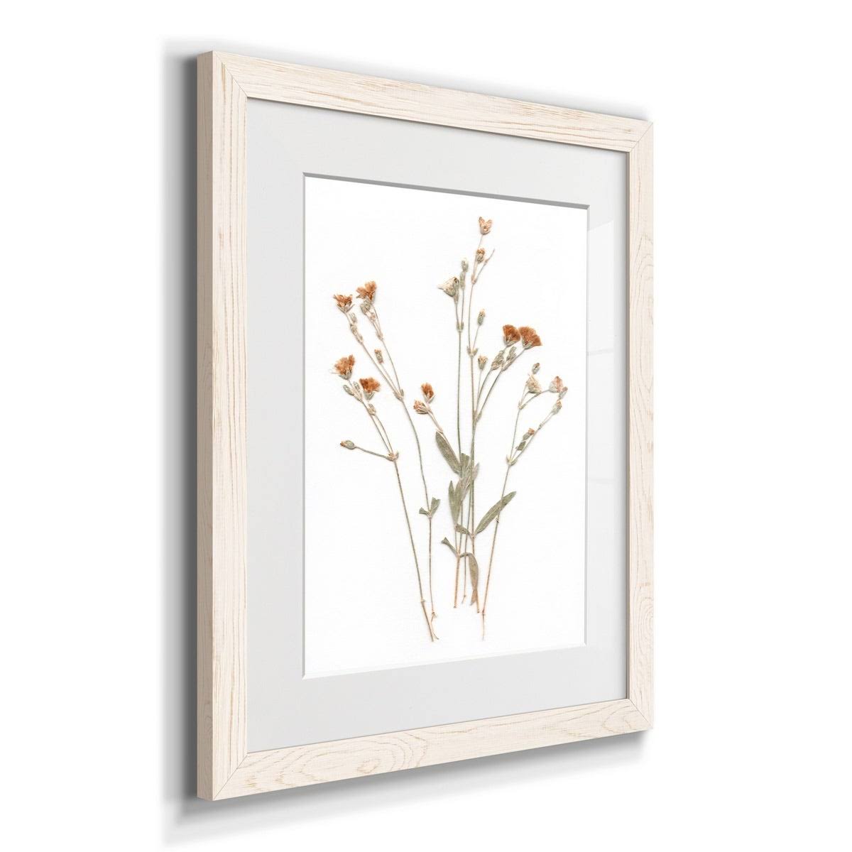 Walnut Framed Print 23X32 J883153
