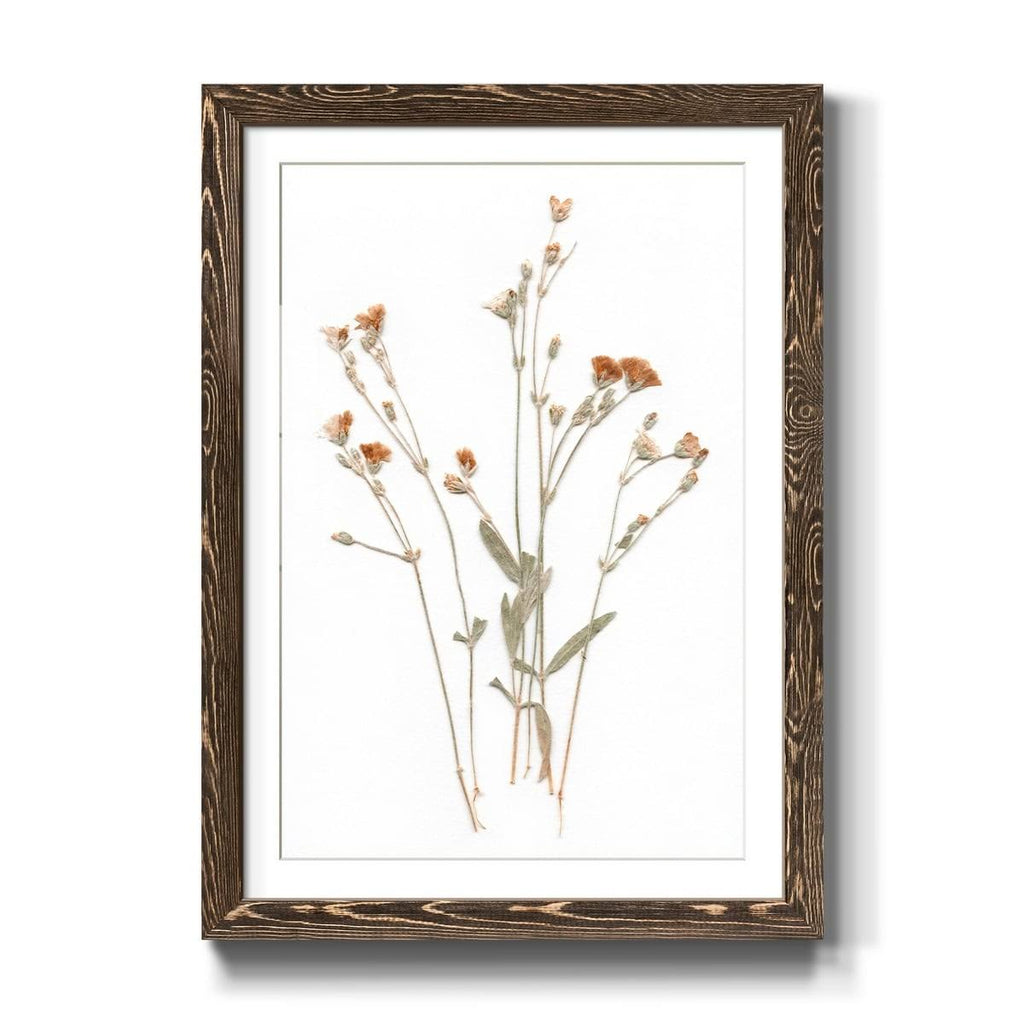 Walnut Framed Print 23X32 J883153
