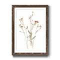 Walnut Framed Print 23X32 J883153