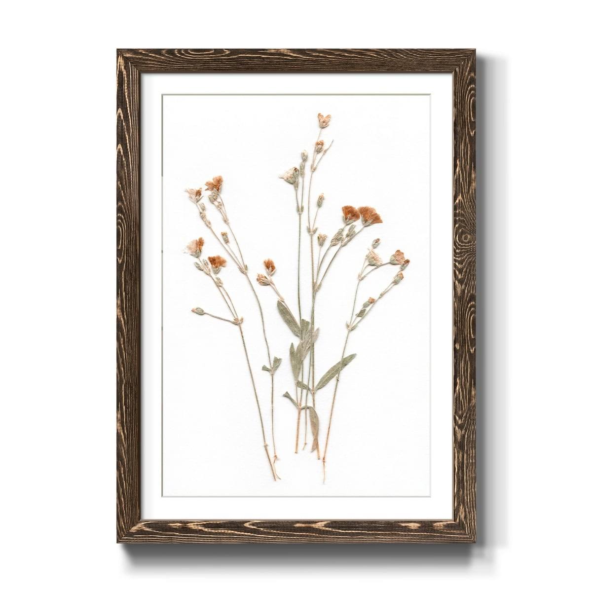 Walnut Framed Print 23X32 J883153