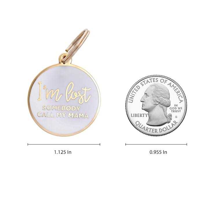 Gold & White Pet ID Tag W20844