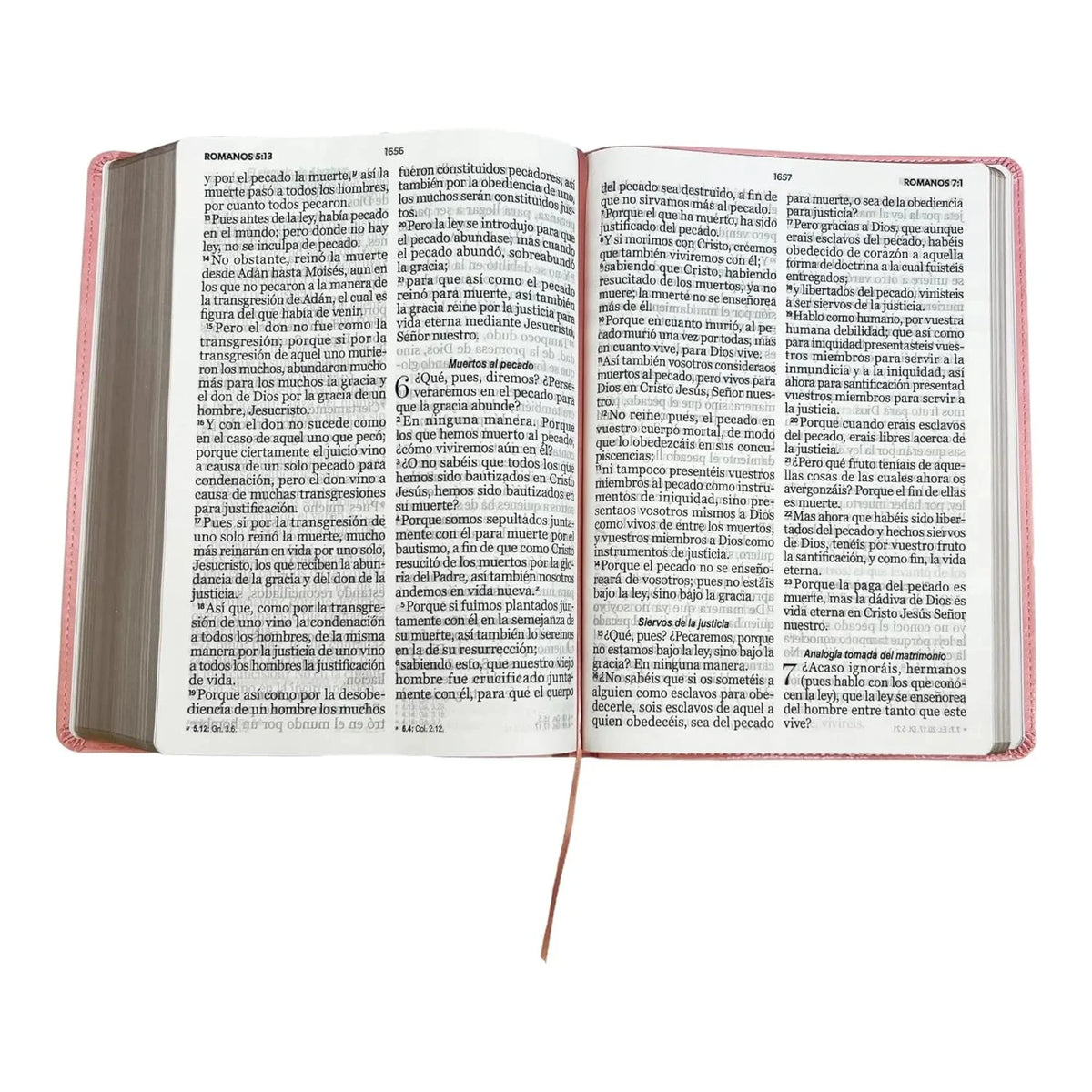 Simile Leather Imitation Leather Bible J187721