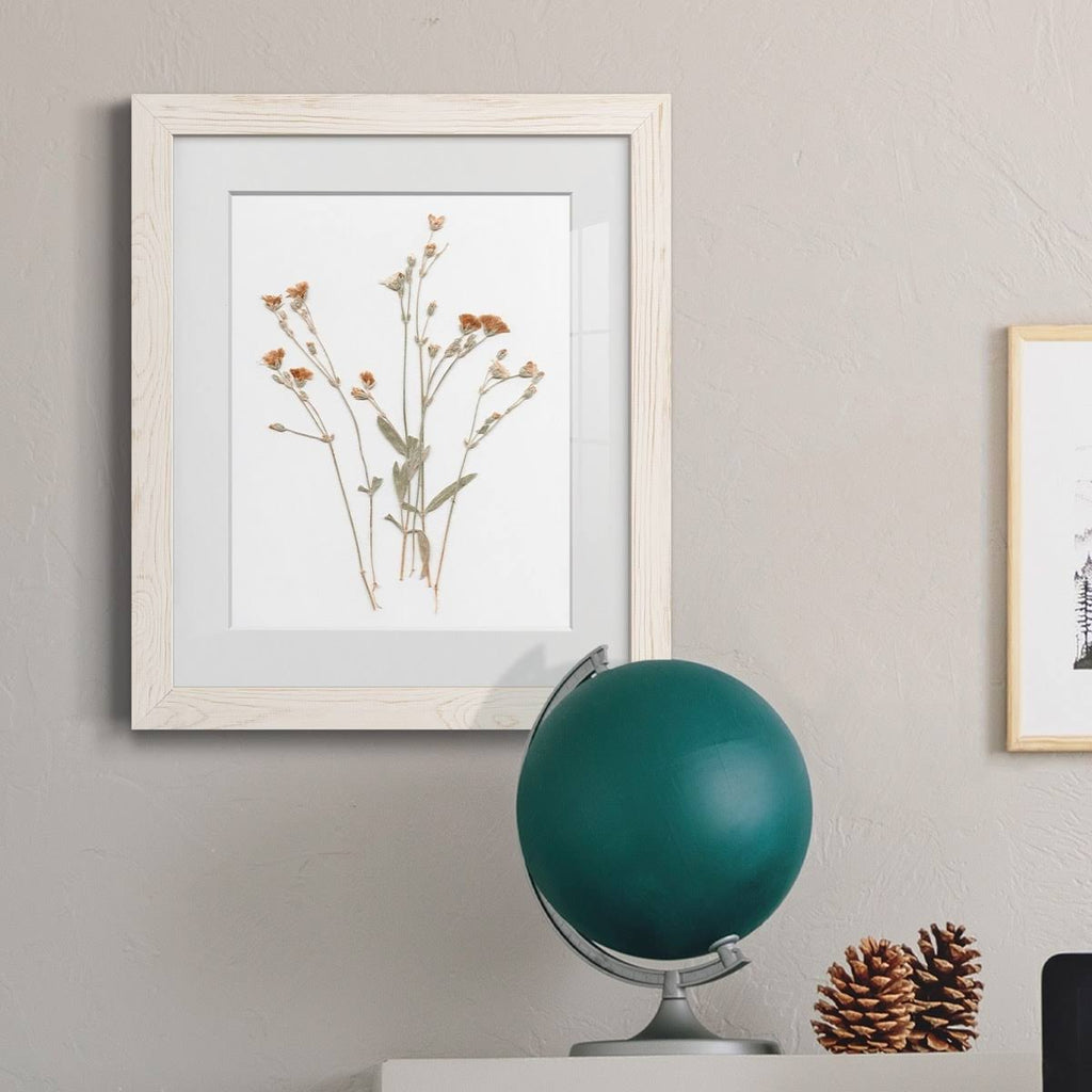 Walnut Framed Print 23X32 J883153