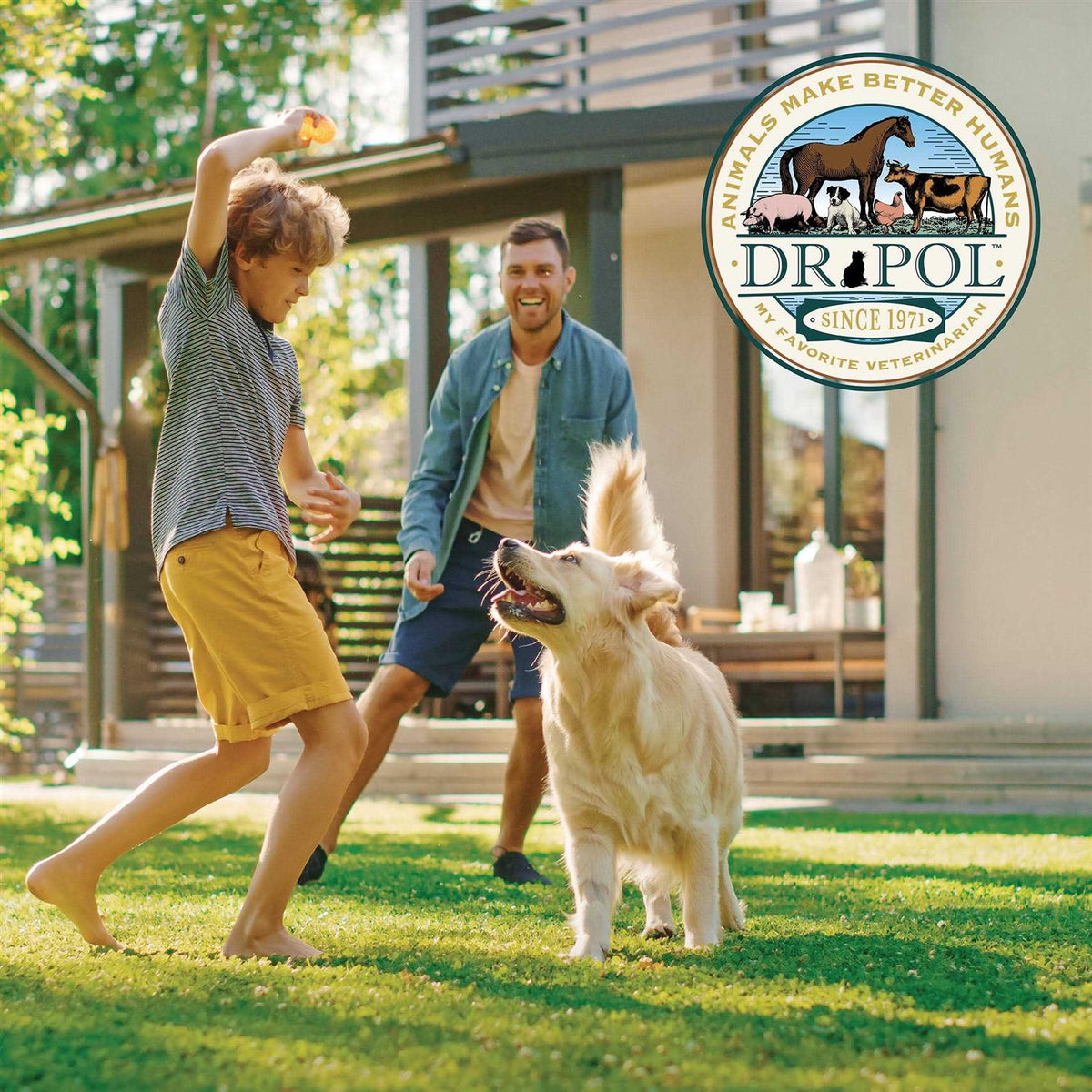 Chicken Recipe Dry Dog Food G732