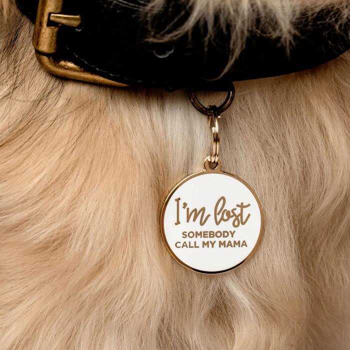 Gold & White Pet ID Tag W20844