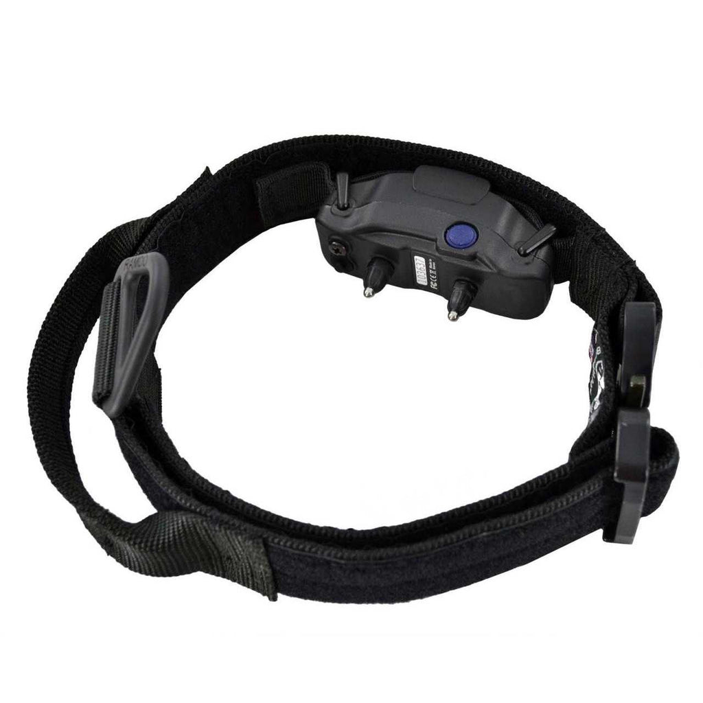 ID Collar L2659