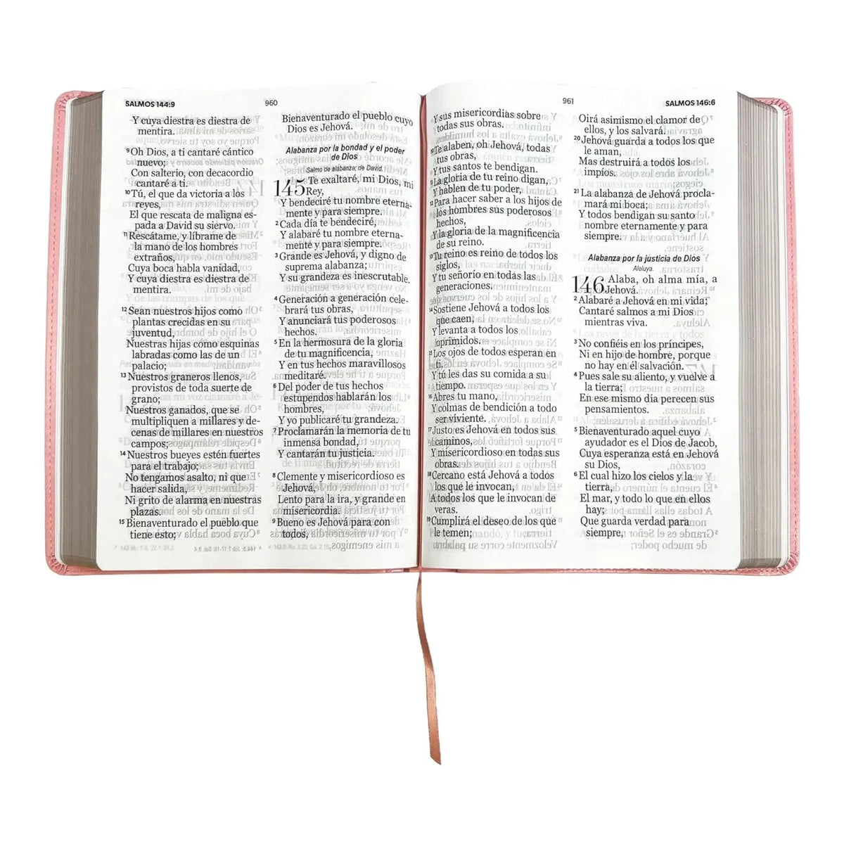 Simile Leather Imitation Leather Bible J187721