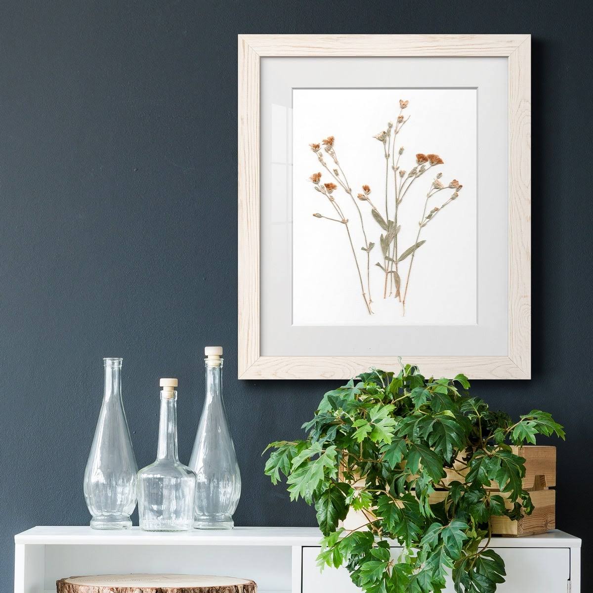 Walnut Framed Print 23X32 J883153