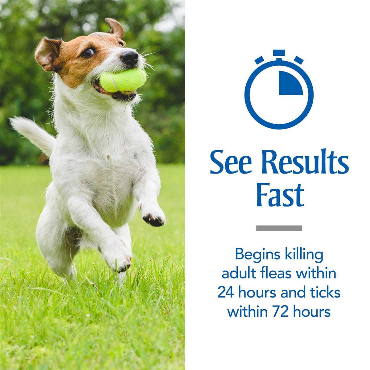 Flea and Tick Treatment for Large Dogs E21286