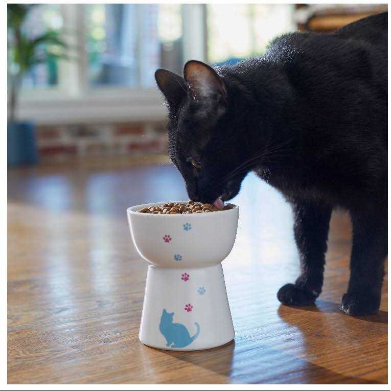 Elevated Cat Dish Z3650
