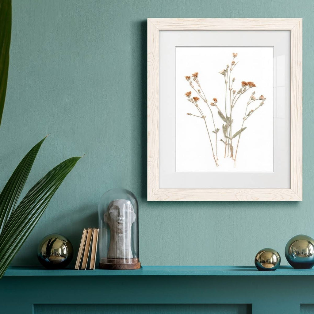 Walnut Framed Print 23X32 J883153