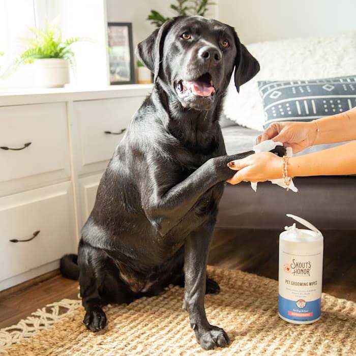 Pet Grooming Wipes B47613