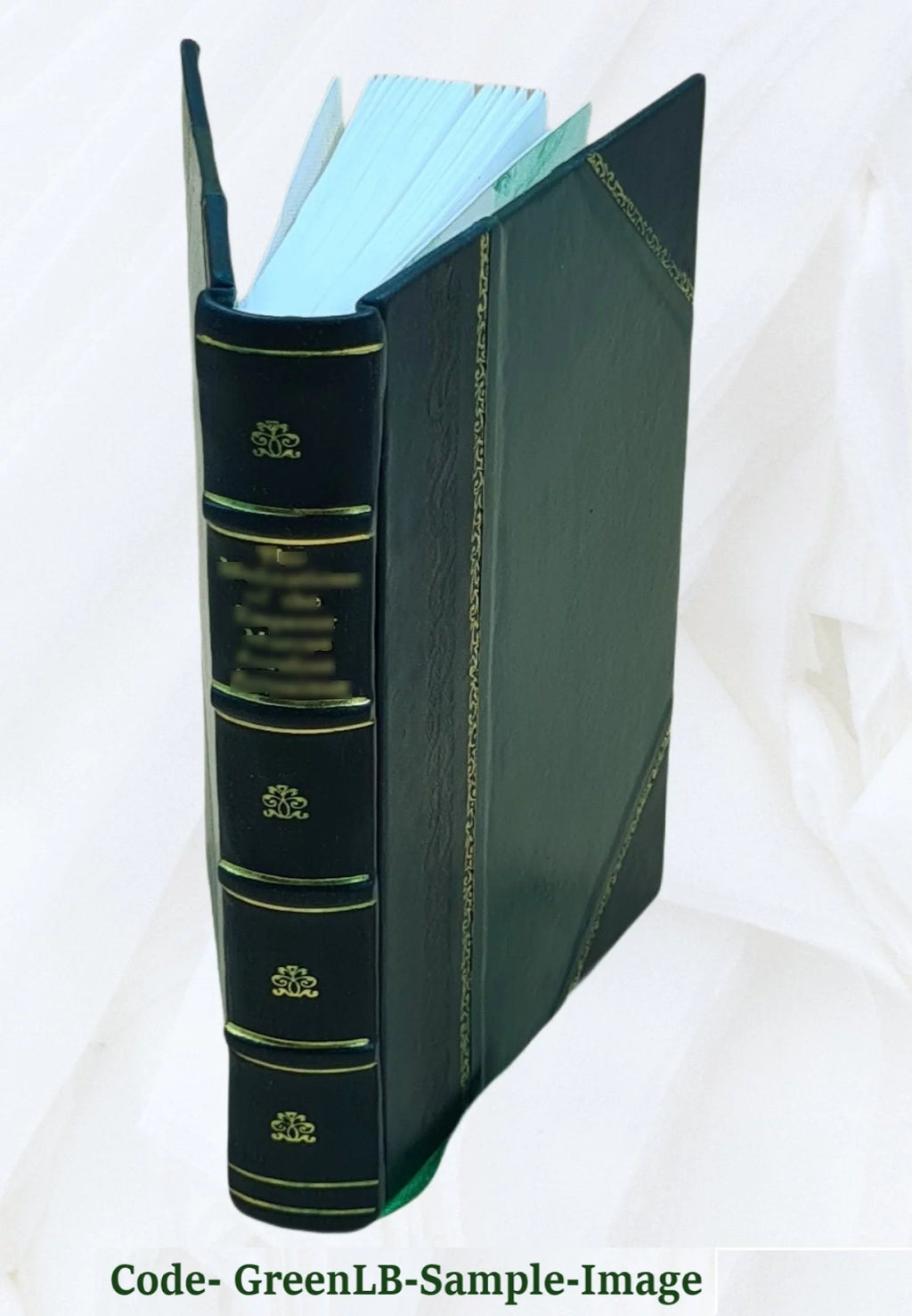 Leather Bound A1192