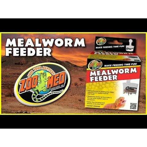 Hanging Mealworm Feeder O449
